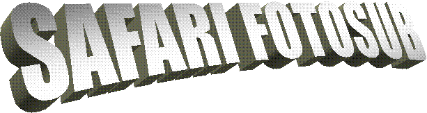 SAFARI FOTOSUB